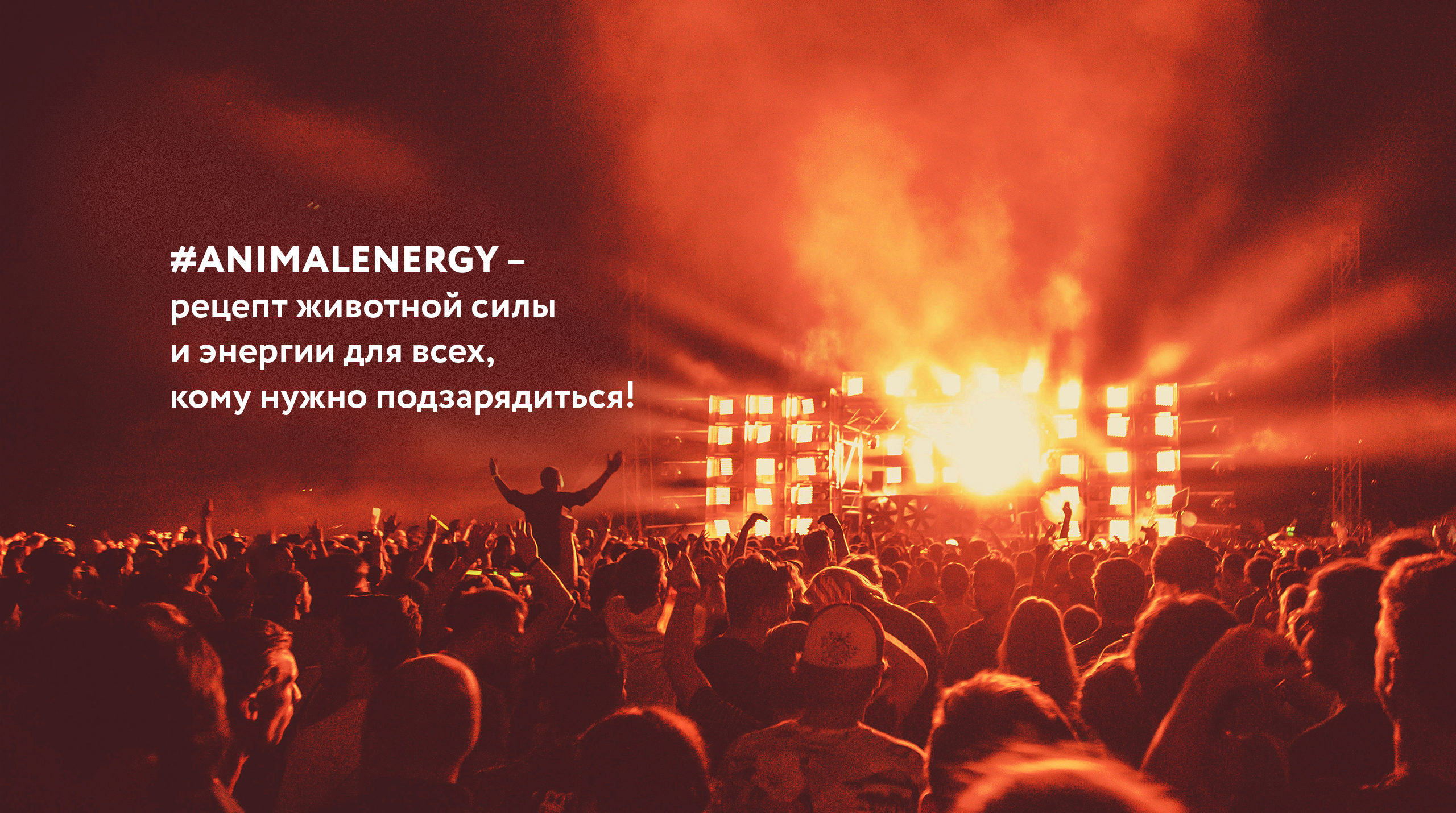 Animal Energy