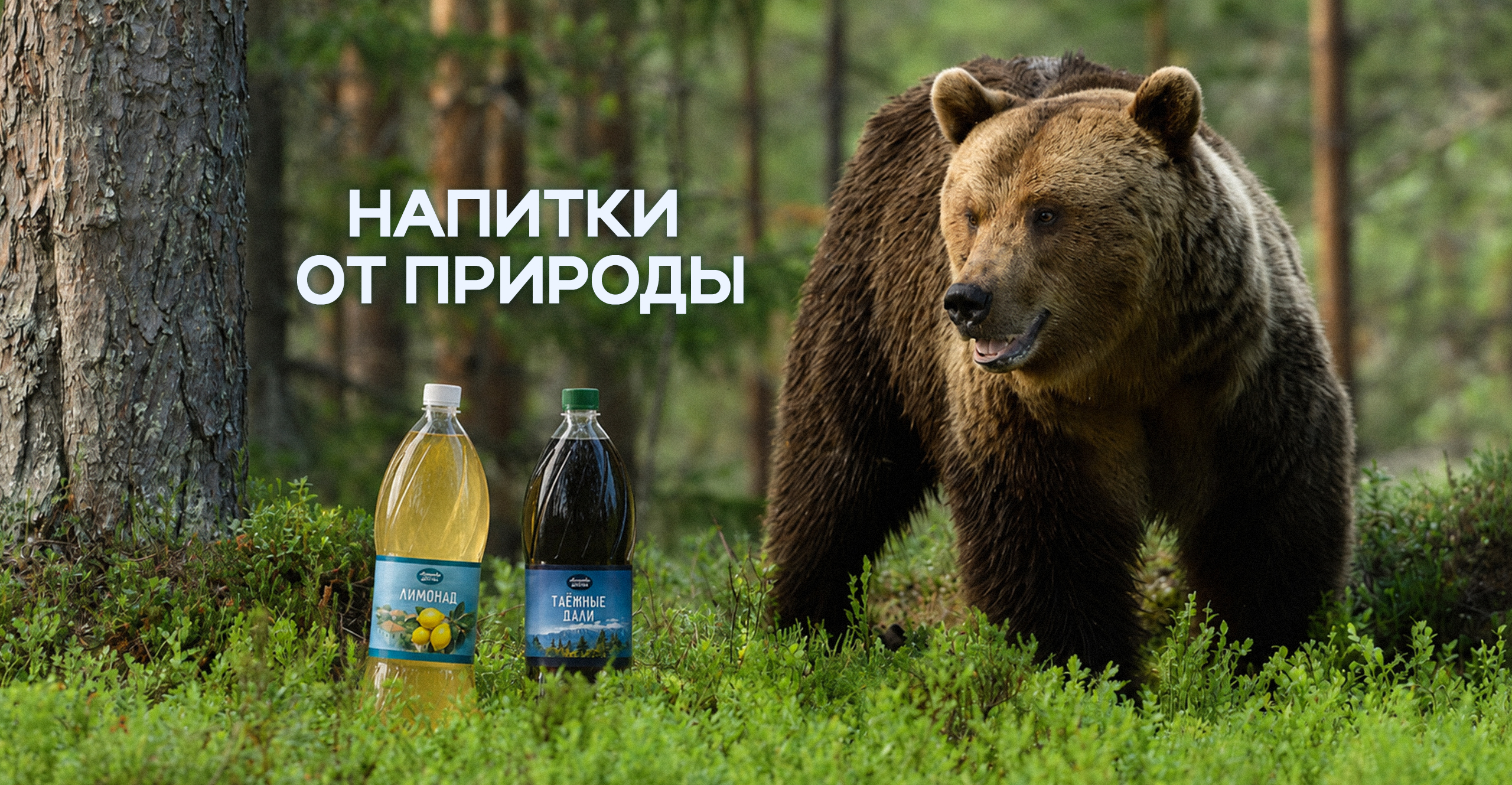 Напитки из детства ПЭТ
